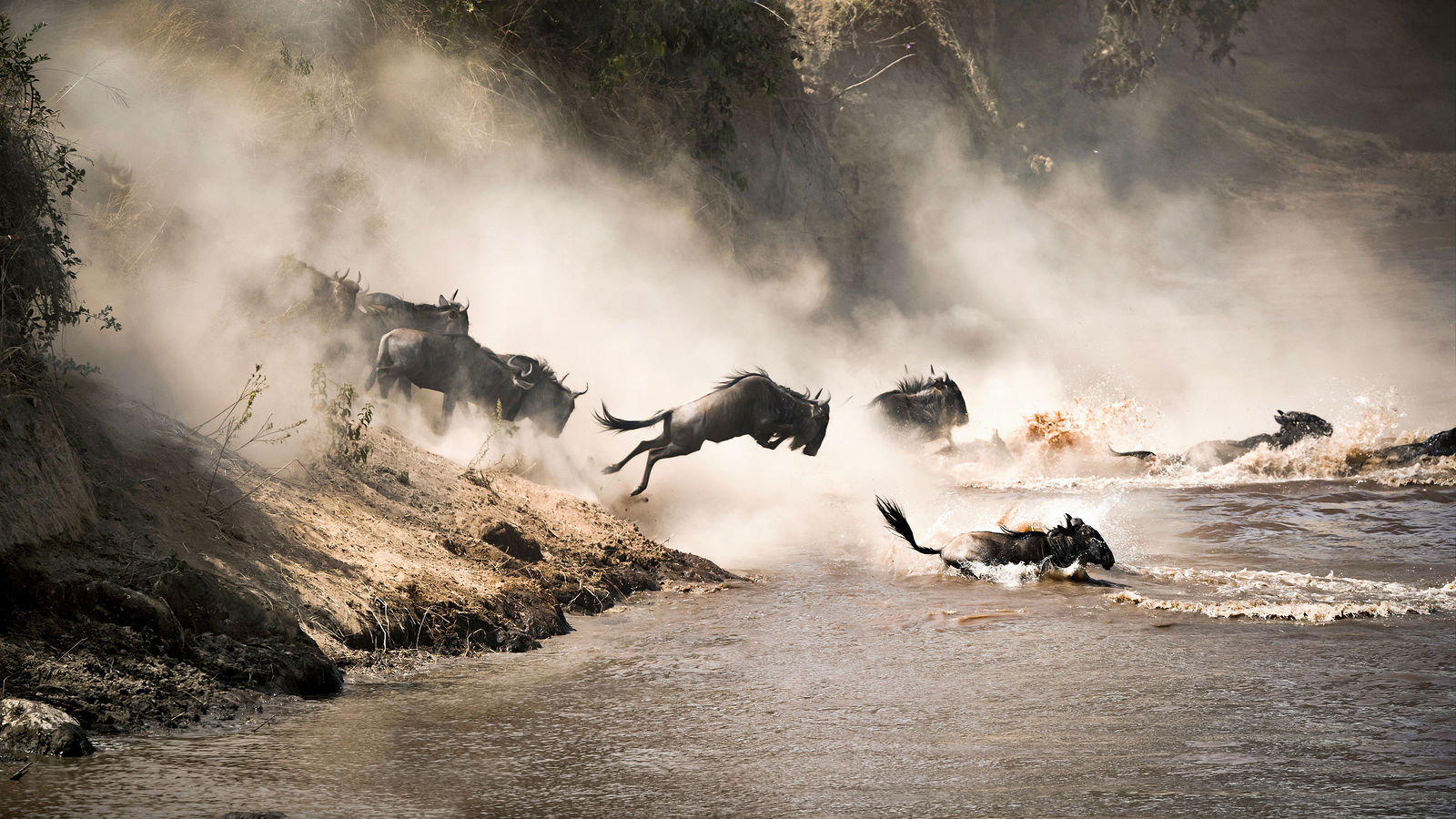 the Great Wildebeest Migration