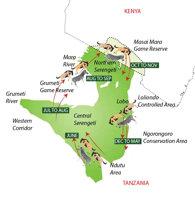 Great Wildebeest Migration safari