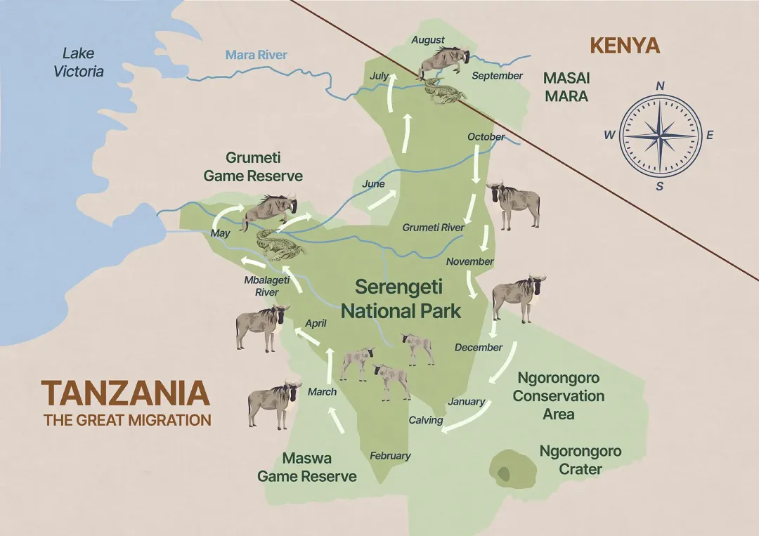 Great Wildebeest Migration safari