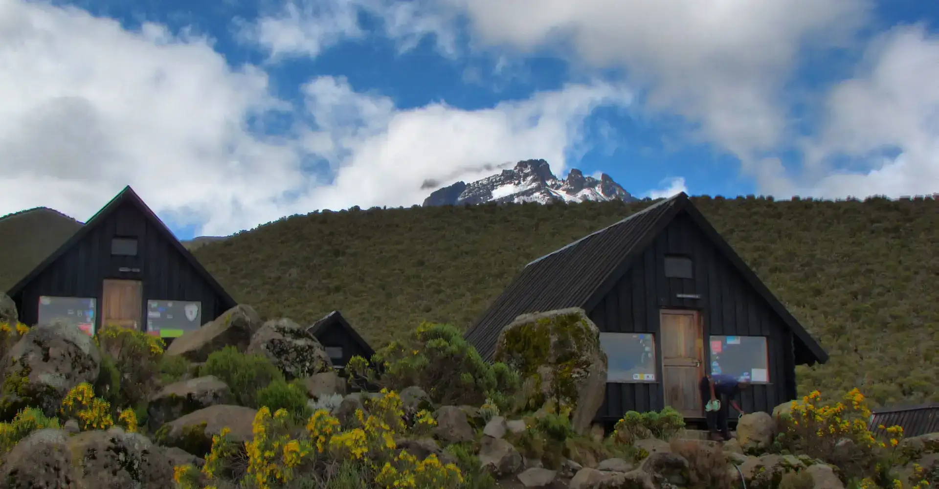 Forest section of the Marangu Route on Mount Kilimanjaro in Tanzania.